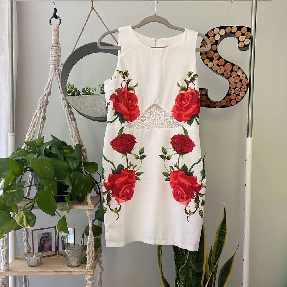 L’atiste Snow White Red Rose dress Large